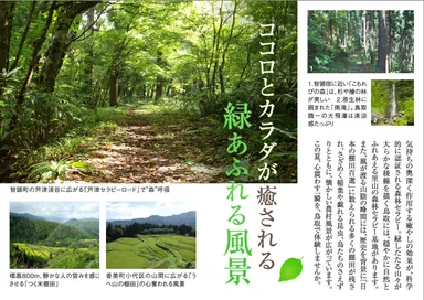 鳥取市など×電子雑誌『旅色』　特集2