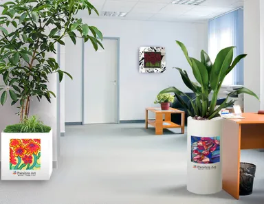 パラリンアートデザインのレンタルグリーンサービス