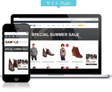 COINsサービスイメージ(サイトプッシュ)