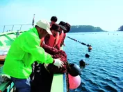 気仙沼大島の養殖筏体験