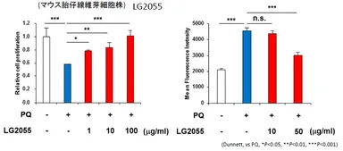 酸化ストレス物質による 動物細胞の増殖率の低下と動物細胞における活性酸素の蓄積を ガセリ菌SP株が抑制