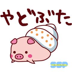 高齢者を楽しませる小学生グループ“やどぶた”
一緒に体操をしながら遊ぶ1stシングル　8月17日発売！