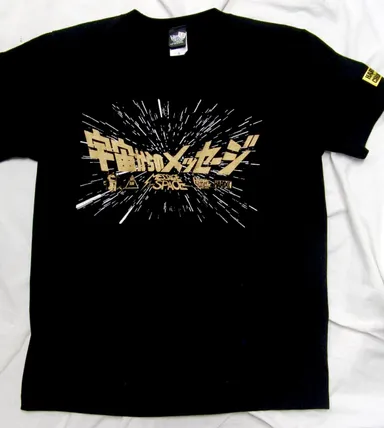 宇宙からのメッセージ(Message from Space)ロゴT1