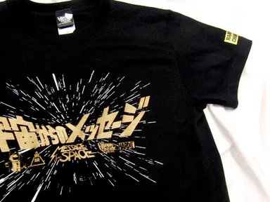 宇宙からのメッセージ(Message from Space)ロゴT2