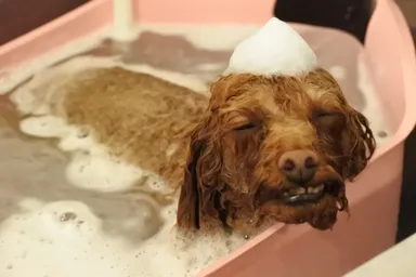 『水素浴＆冷やしマイクロバブル』体験中1