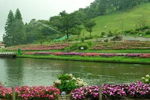 六甲山カンツリーハウス園内