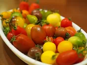 厳選された多品種のトマト
