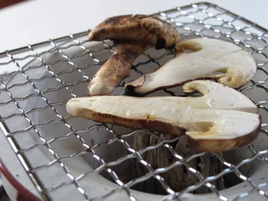 食べごろの松茸