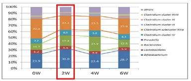 腸内フローラの分布割合(全体前後比較)