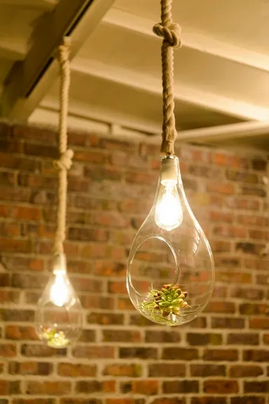 BOTANIC HANGING LIGHT