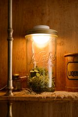 BOTANIC JAR LIGHT 230