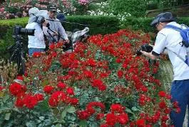 春開催時の写真教室の様子