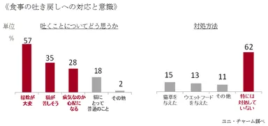 食事の吐き戻しへの対応と意識