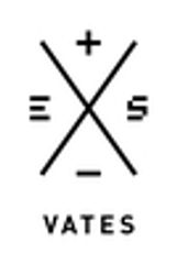 VATES実行委員会のロゴ