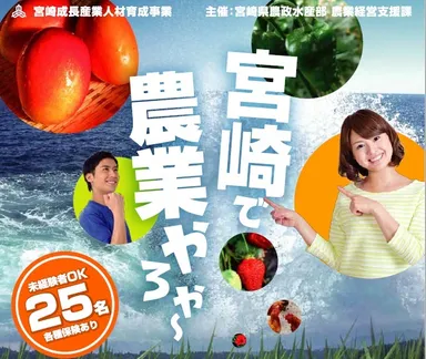 宮崎成長産業人材育成事業