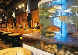 入口で迎えてくれる巨大生簀