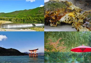 各地域の厳選スポット