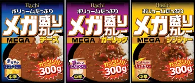 メガ盛りカレー新商品
