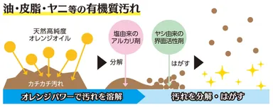 汚れ落ちのメカニズム(有機質汚れ)