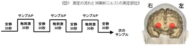 図1　測定の流れとNIRS(ニルス)の測定部位