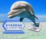 「EYERESH for ニンテンドー3DS」イメージ(2)