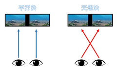 平行法と交差法 イメージ