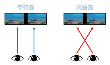 平行法と交差法 イメージ
