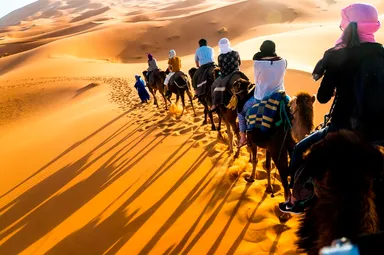 【最優秀賞】砂漠の行進：Etooさん