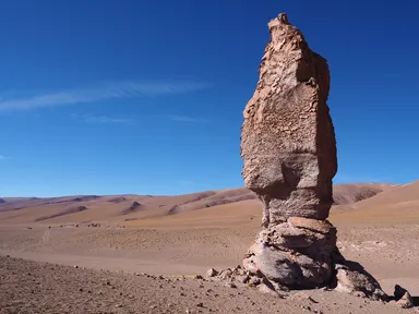 【優秀賞】ぼくはここにいる：masacoccoさん