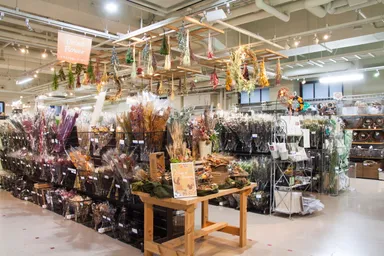 ドライフラワーコーナー