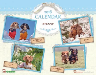 2016年版ダックスフンド 表紙