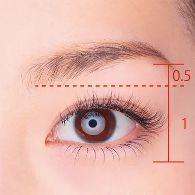 小顔黄金比目元