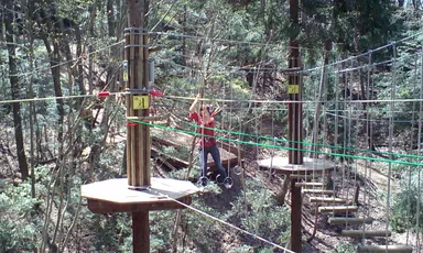 森の中を空中散歩