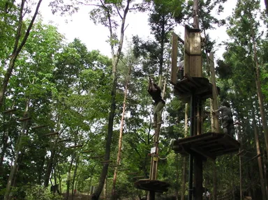 人気NO.1　ターザンスイング