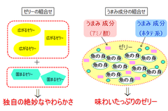 5種類のゼリーを組合せて絶妙なやわらかさを実現し、ほたてのうまみが入った味わいたっぷりのゼリータイプ