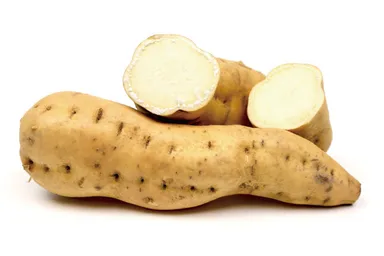 黄金千貫(白芋)