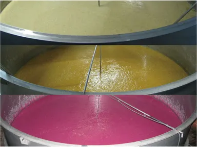 芋のもろみ(上から白芋、紅芋、紫芋)