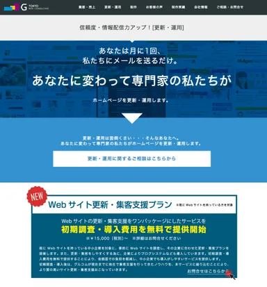 「Webサイト更新・集客支援プラン」　イメージ