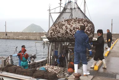 ほたて貝水揚げ風景