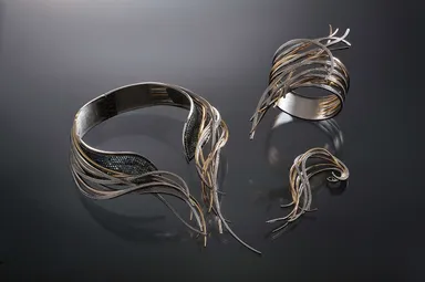 受賞作品「Ｓuper Nova (スーパーノヴァ） 」