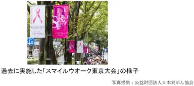 過去に実施した「スマイルウオーク東京大会」の様子