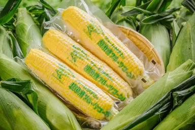 超冷凍フルーツコーン