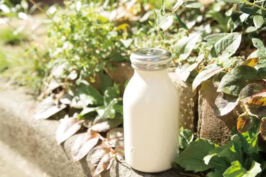 mosh!280mlイメージ3