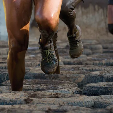 ギャラリーエリアに設営される障害物