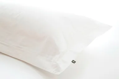 ピロー(ピローケース付き)