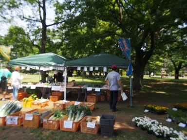 ファーマーズマーケット