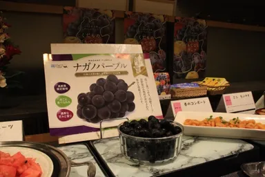 ナガノパープルフェア 2