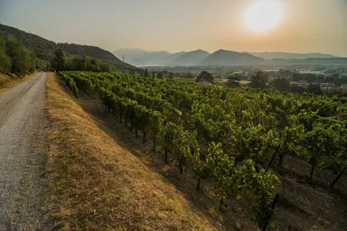 フランチャコルタ地区の風景