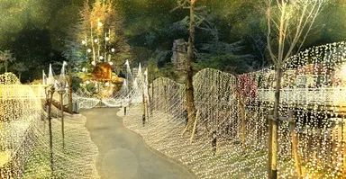 「ゴールドガーデン」～黄金の草原～