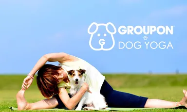 GROUPON DOG YOGA 1
